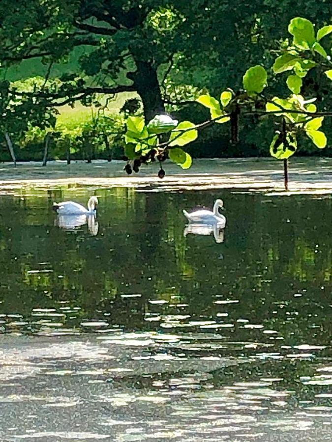 Ferienwohnungen Am Klusteich Goslar Exteriér fotografie